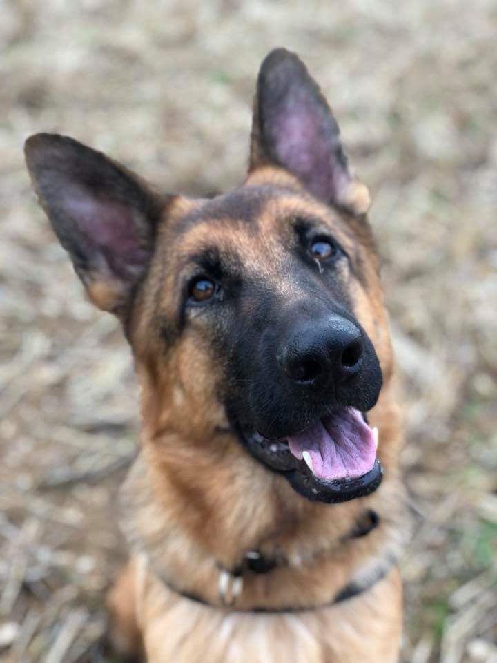 Nora
